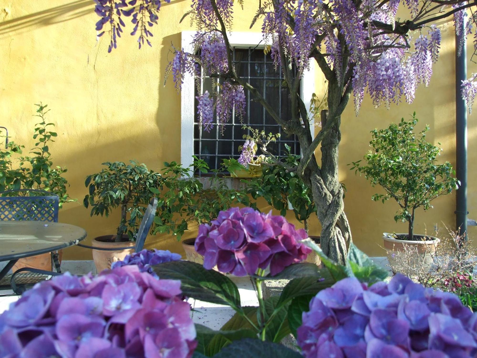 B&B Casacasina Monzambano Exteriör bild