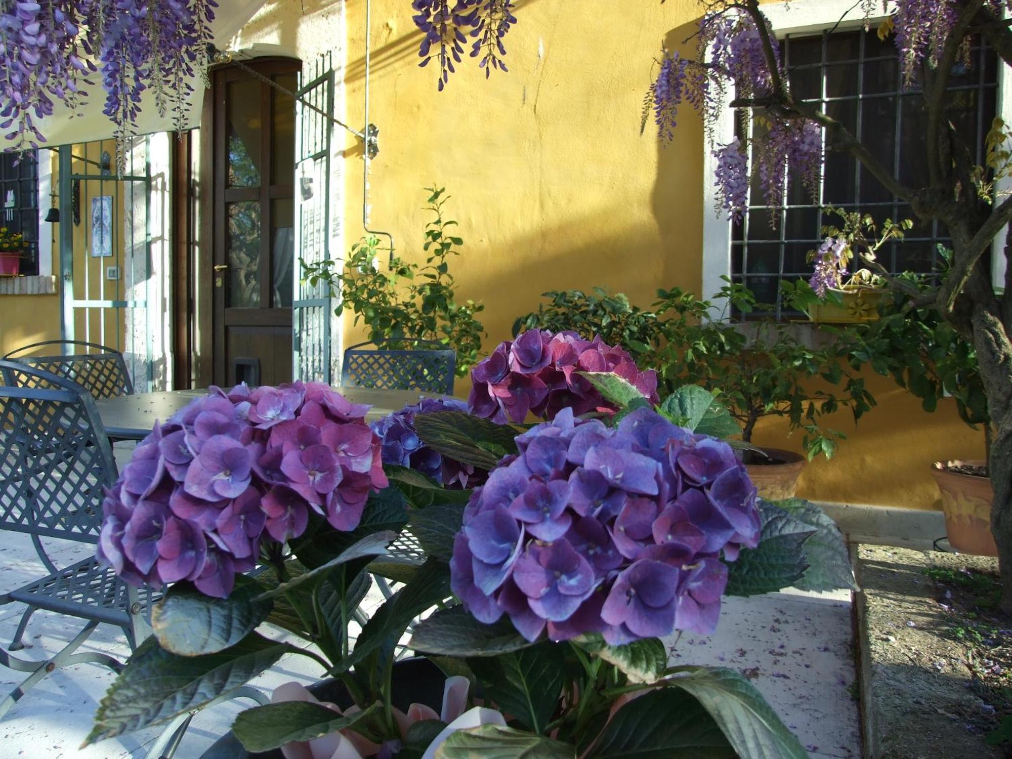 B&B Casacasina Monzambano Exteriör bild