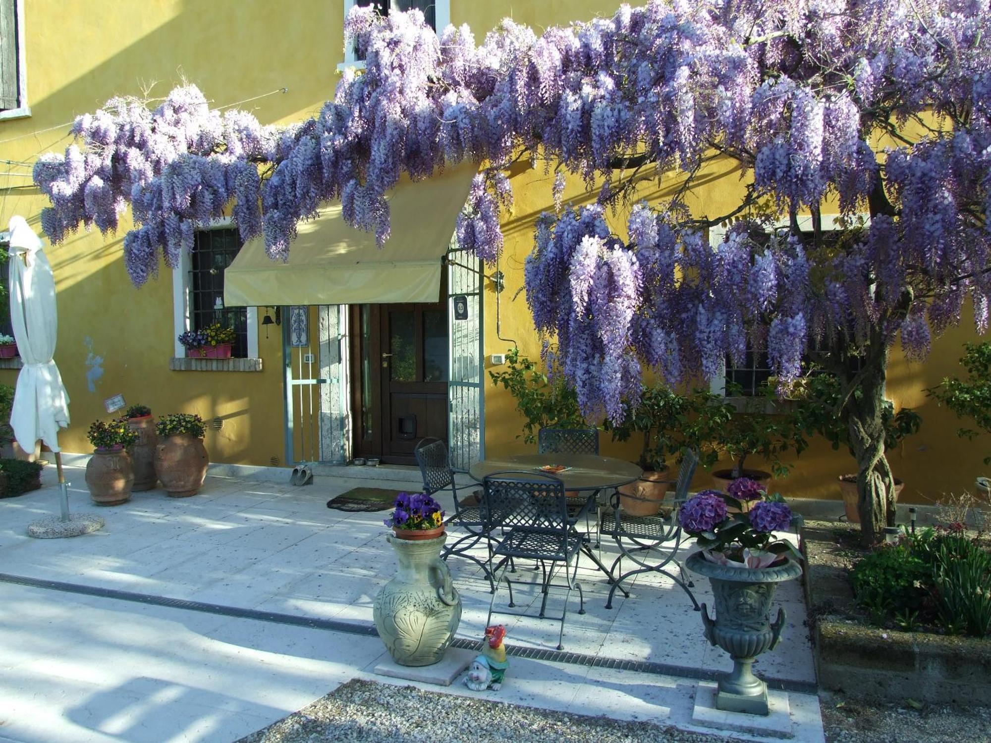 B&B Casacasina Monzambano Exteriör bild