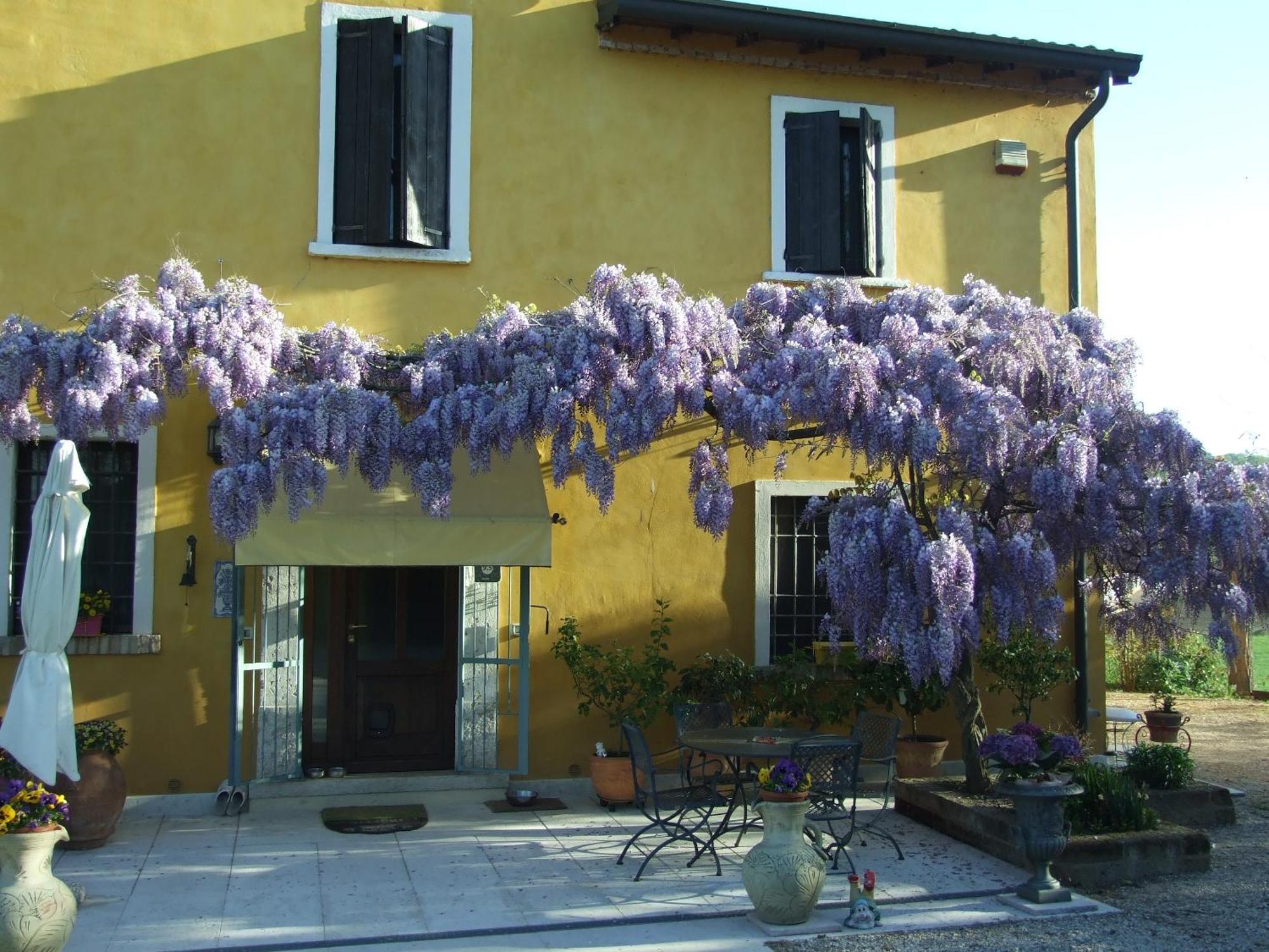 B&B Casacasina Monzambano Exteriör bild