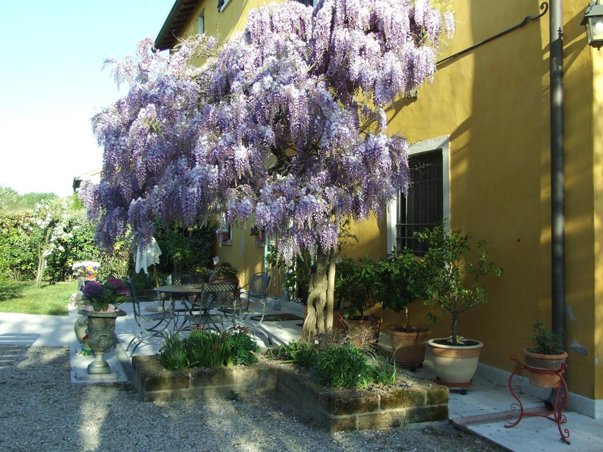 B&B Casacasina Monzambano Exteriör bild